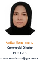 fariba honarmandi