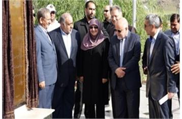 توسعه صنایع پایین دستی پتروشیمی، فرصت پیش روی لرستان