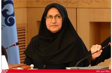 توسعه صنعت پتروشیمی در گرو سه گانه های سرمایه، فناوری و خوراک