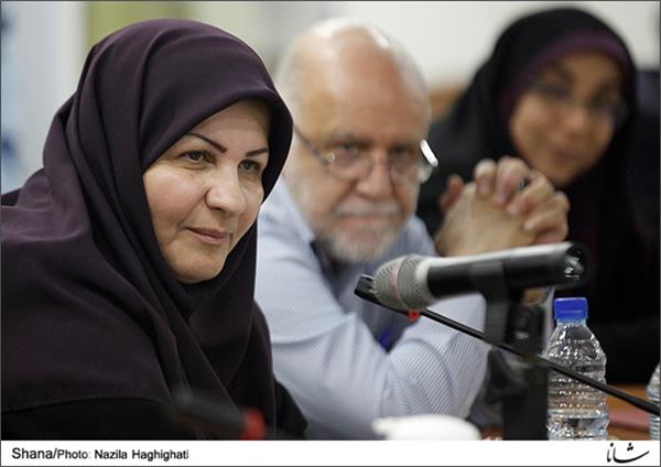 Shahdaie: HSE Mandates to Be Observed in Petchem Facilities